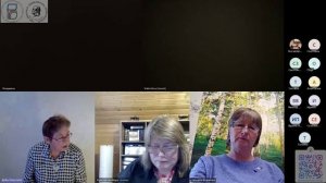 Онлайн-семинар Беллы Исааковны Штерншис, 12 ноября 2023 года.