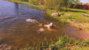 1 серия. Озеро профессора. Про русалок и головастиков | Сериал "Старики во Вселенной - 2023"