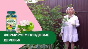 Формируем и подкармливаем плодовые деревья