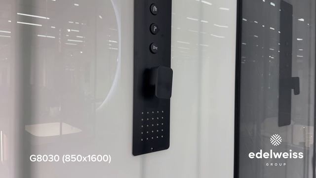 Душевая кабина Black  White G8030