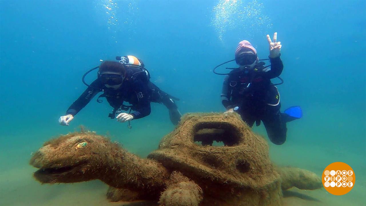 Ныряем в приключения! Доброе утро. Фрагмент выпуска от 30.05.2025