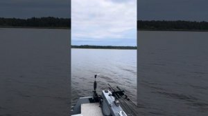 Ротатор Vector 360 варианты установки - на транец, в Т-паз, н