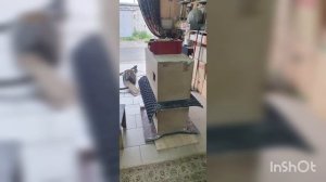 Электроника 100 АС 060. Путь к мечте.