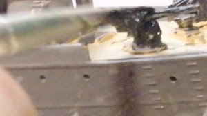 Обзор и покраска модели крейсера "Варяг"