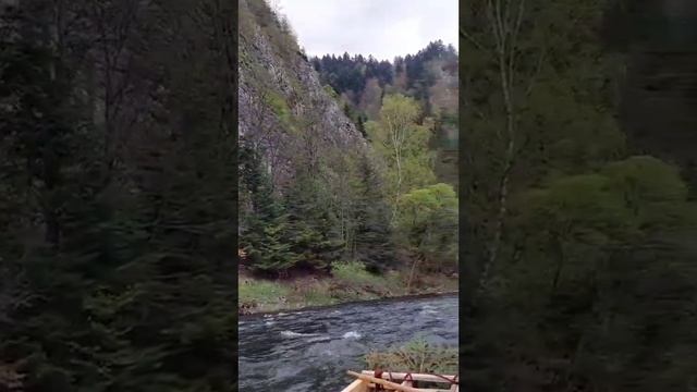 ГОРНОЕ ПОСЕЛЕНИЕ. Сплав на плоту