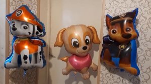 Щенячий патруль фигуры Гонщик, Скай, Маршал