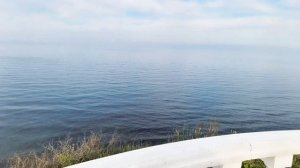 Немного про дельфинов
Анапа 30.05.2025