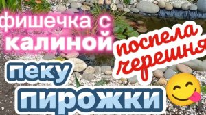 Пекутся пирожки. Фишечка с калиной. Поспела черешня😋