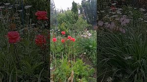 Таро.Что вам надо знать.