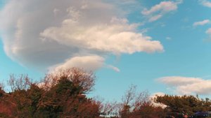 Эти виды под этот звук пробирают до слёз - Wont Stop -- Ketsa -- Abundance