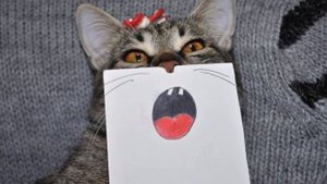 Суп с котом. Песня про кошек и котов. 27 марта – День мар