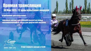 Прямая трансляция 30 Мая 2025 - 12 беговой день для лошадей рысистых пород