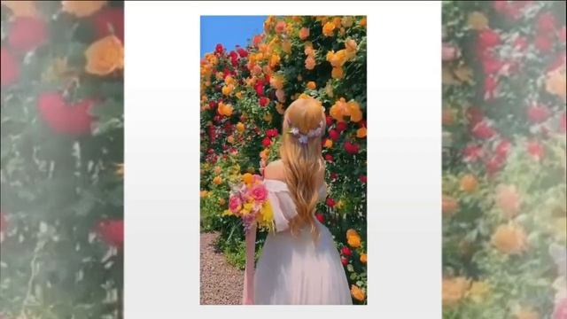 Ты тихое мое молчание смотреть онлайн