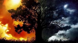 ты мой день....