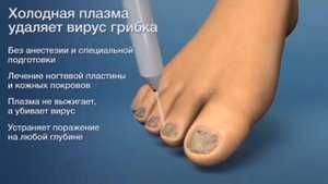 video5427111041613981675