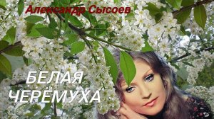 Александр Сысоев  БЕЛАЯ ЧЕРЁМУХА