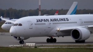 ✈Японский Дримлайнер / Аэропорт Домодедово 2019