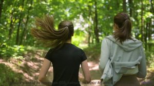 Музыка, которая звучит как обещание 'мы вернёмся сюда ещё раз' - Horse feat. lardavis -- Phillip Gro