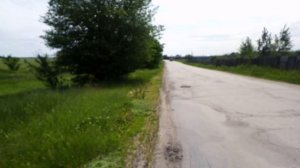 Одинокие цветы (моё личное стихотворение)