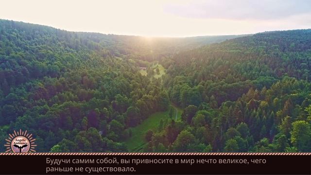 Красивая музыка и пение птиц в мирных сценах природы ?