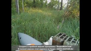 катамаран мастеркат ВОЛЖСКАЯ КРУГОСВЕТКА