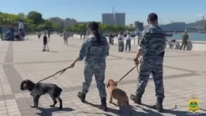 Отдыхайте безопасно: полиция Кубани обеспечивает порядок на курортах!