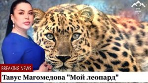 Тавус Магомедова "Мой леопард " (Cover version )
