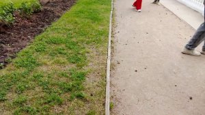 Летняя газонная территория в музее усадьбе Архангельское. Очень интересная резиденция в мире.