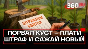 За порчу или уничтожение зеленые насаждения теперь придётся платить немалый штраф и не только