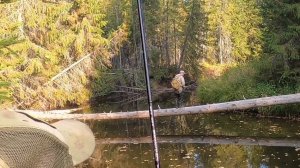 Рыбалка зовёт