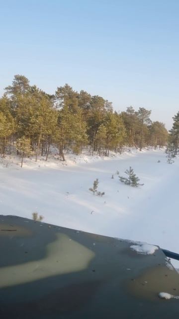 YARS вездеход на васюганских болотах смотреть онлайн