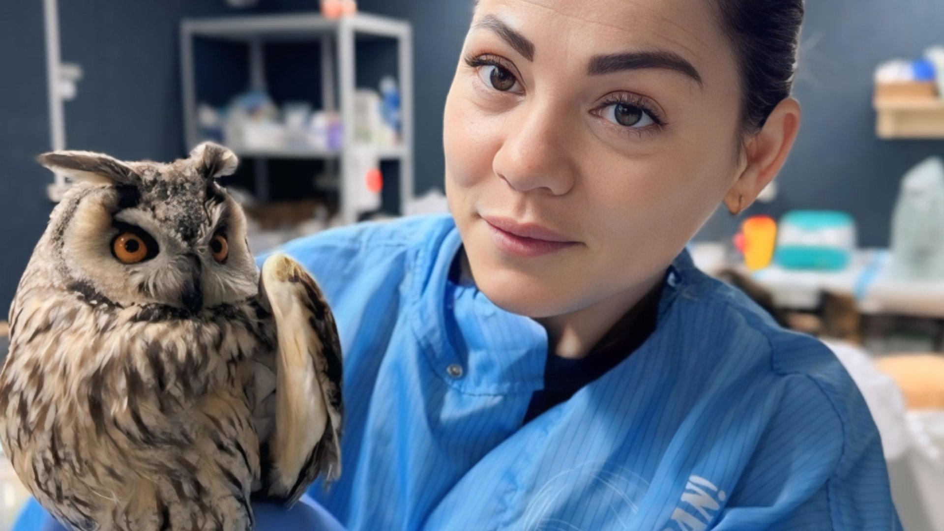 РЦ Ж9 там где спасают маленькие сердца ♥️ смотреть онлайн