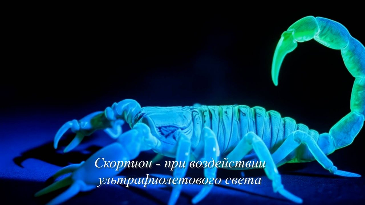 Детям
