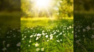 Тело и душа (feat. Meditation Music, Расслабляющая музыка для...