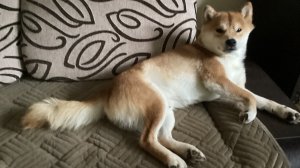 Мы с Джеком едем в Псков.