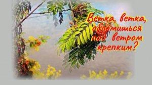 То не ветер ветку клонит (но он кручину не прогонит). Песня с 26-й секунды.