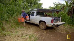 Rodeo Horse Dental Exam | The Adventures of Dr. Buckeye Bottoms | Nat Geo Animals