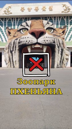 Зоопарк Пхеньяна. Зоопарк столицы Северной Кореи. Дикие животные КНДР достопримечательности #shorts