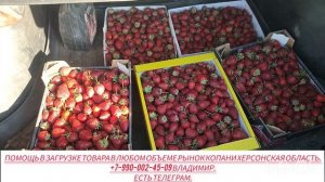 30-05-2025г.Цены сегодня рынок Копани Херсонская область.