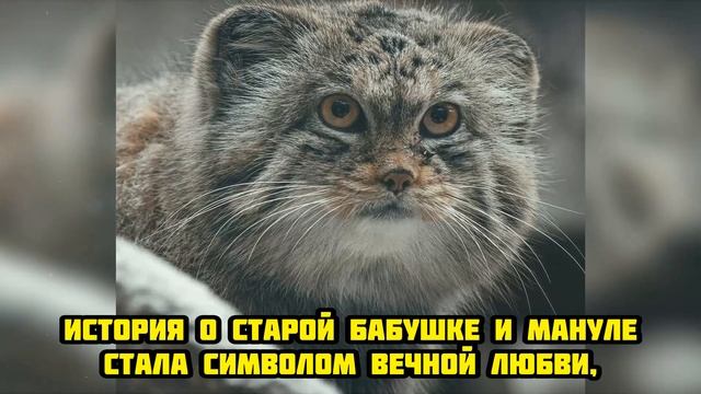 Он пришёл в её жизнь в самый нужный момент… и остался ?