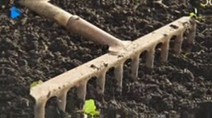 8 Класс   География   Почвенные ресурсы России 2