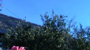 Странный гул в небе над Новотроицком