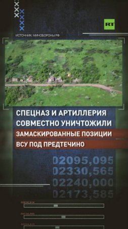Спецназ и артиллерия совместно уничтожили замаскированные позиции ВСУ под Предтечино