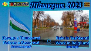 Дождь в Ташкенте! Работа такси в Бельгии! | Rain in Tashkent! Taxi work in Belgium!
