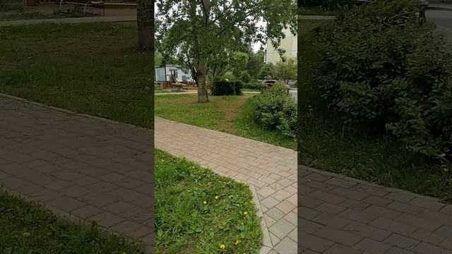 Перед школой в начале каникул
