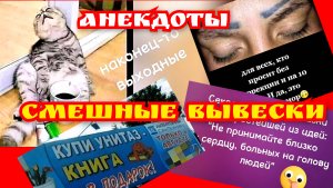 Подборка видео приколов. Анекдоты