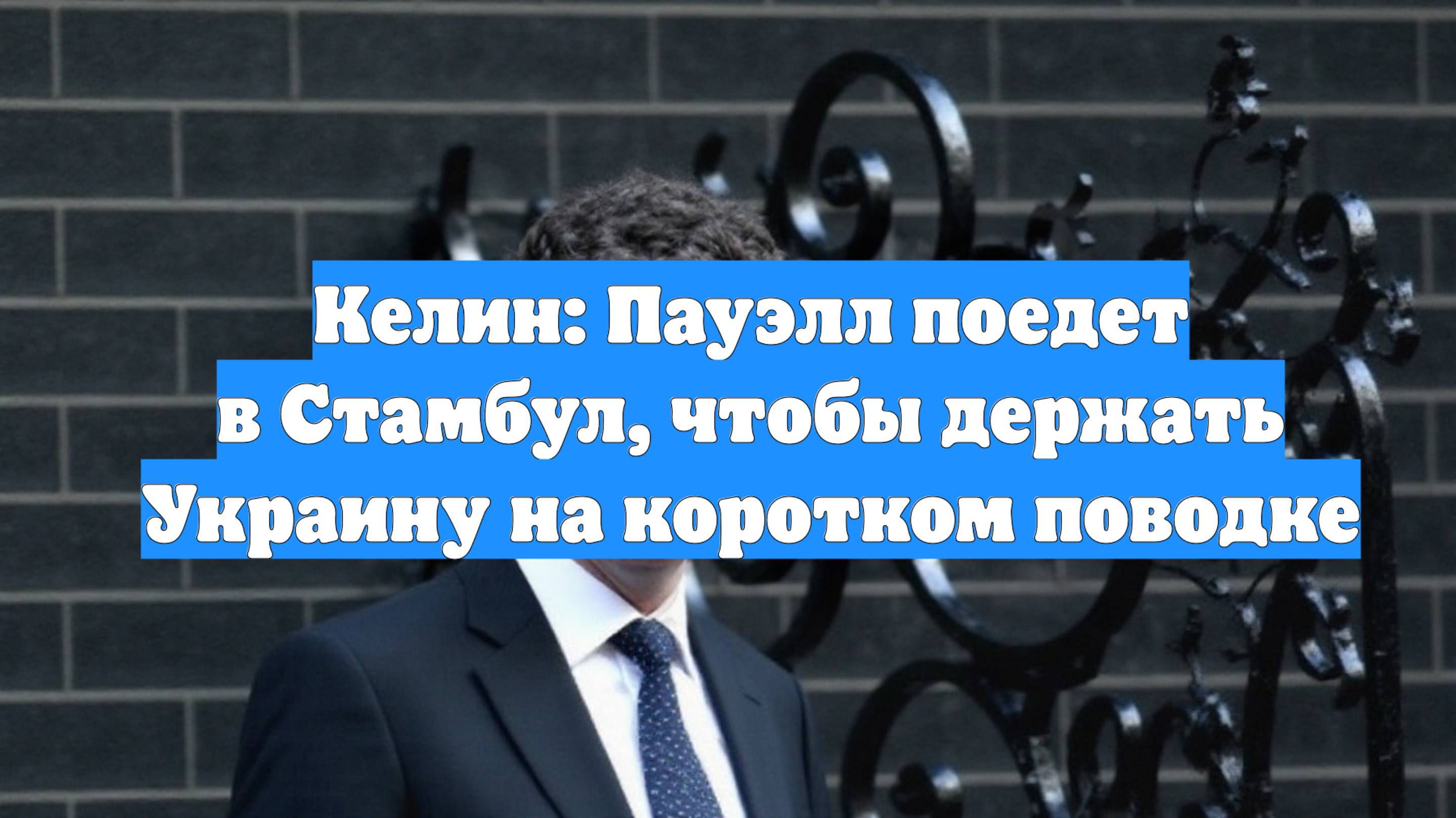 Келин: Пауэлл поедет в Стамбул, чтобы держать Украину на коротком поводке
