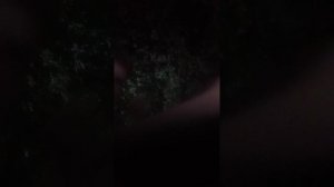 Алиса кошка мяу фильм Я тебя не заметила вторая часть