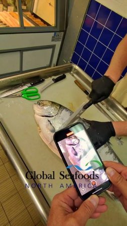 🐟 Подготовка свежего королевского лосося к сухому вызреванию 🔪
Начинается волшебство — отборный