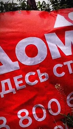 🏠“Почему воробей выбрал каркасный дом? Узнайте, как построить свой!”